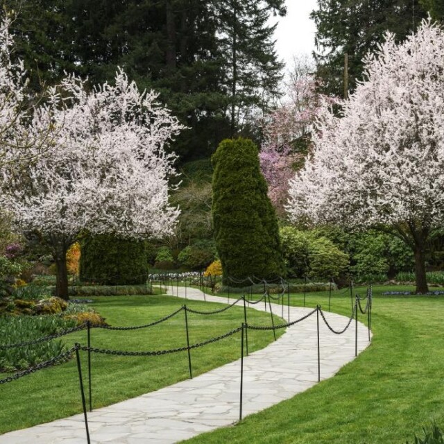 The Butchart Gardens – Over 100 Years in Bloom – Victoria, Canada